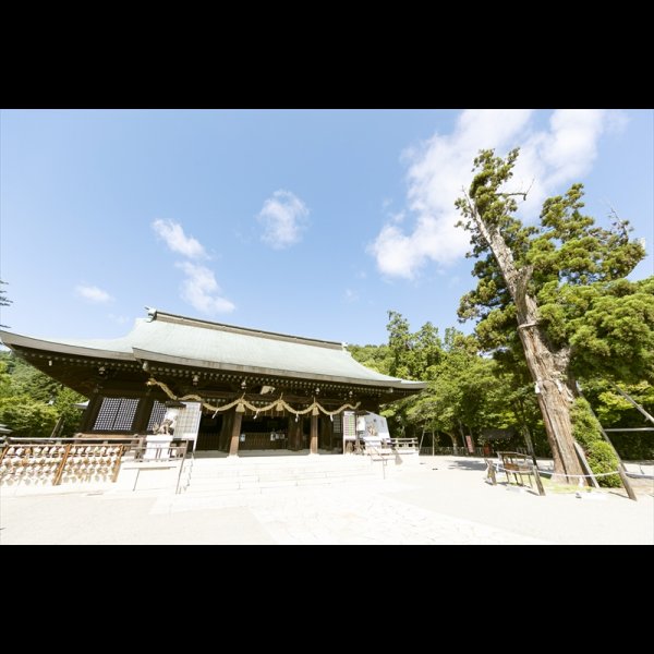 Ｔ様ご夫妻